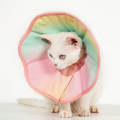 Macaroon Cat Cone 3 Color Headgear