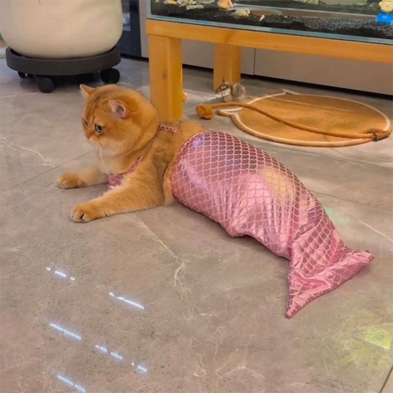 Mermaid Cat Costume Funny Photo Prop Clothes