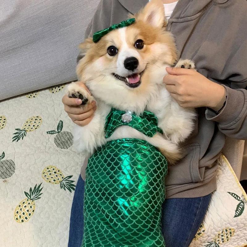 Mermaid Cat Costume Funny Photo Prop Clothes