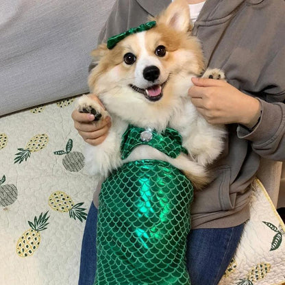 Mermaid Cat Costume Funny Photo Prop Clothes