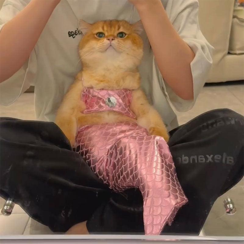 Mermaid Cat Costume Funny Photo Prop Clothes