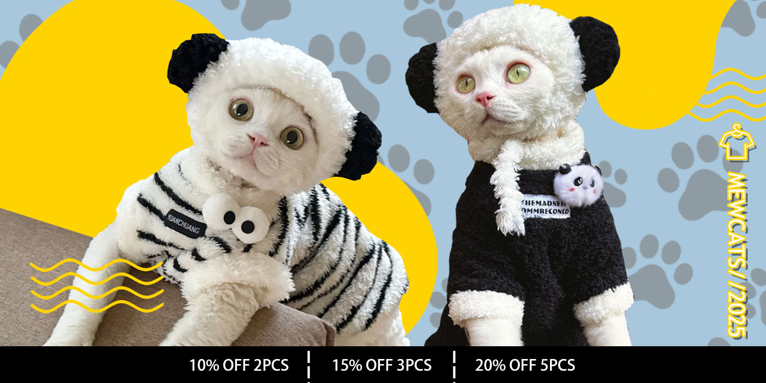 Mewcats 2025 cat clothes banner