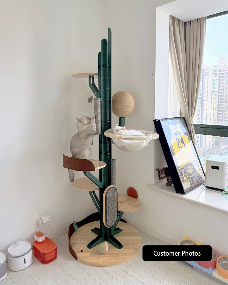 Modern DIY Large Cactus Cat Climbing Tree