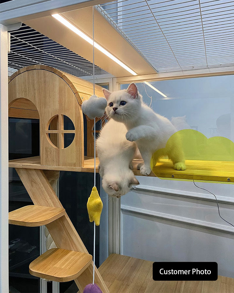 Moonlight Luxury Cat Villa