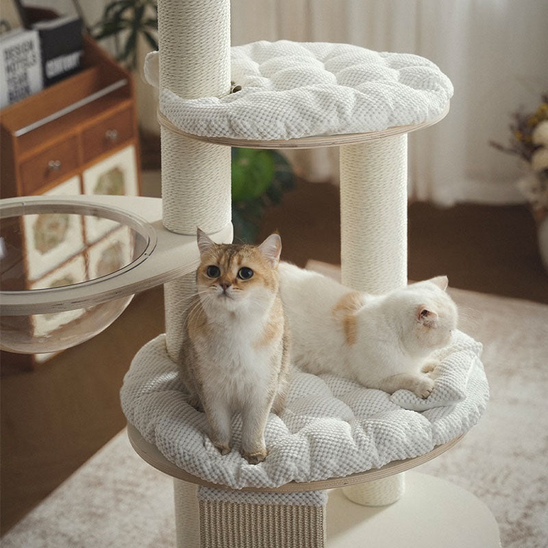 Mousse Series Large Cat Tree for Big Cats