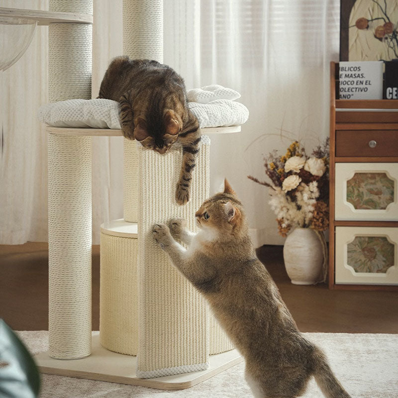 Mousse Series Large Cat Tree for Big Cats
