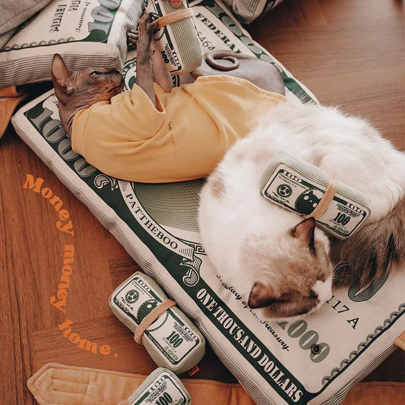 Pattheboo Cat Toys with Catnip Chew Bite Pillow