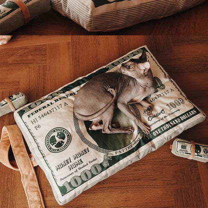 Pattheboo Cat Toys with Catnip Chew Bite Pillow