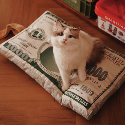 Pattheboo Cat Toys with Catnip Chew Bite Pillow