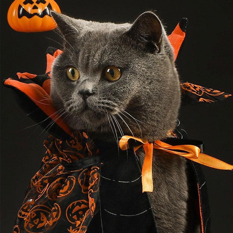 Reversible Halloween Cat Cape Costume