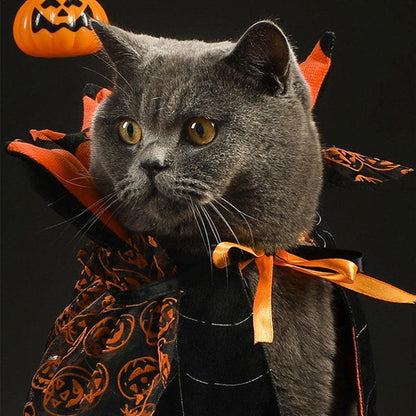 Reversible Halloween Cat Cape Costume