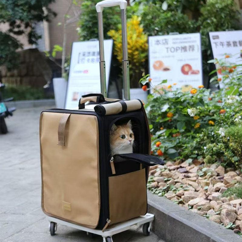 Roll Up Portable Cat Carrier Backpack 