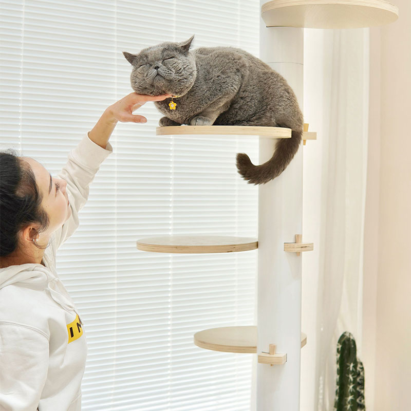 Rotating Petal  Metal Floor to Ceiling Cat Climbing Tree