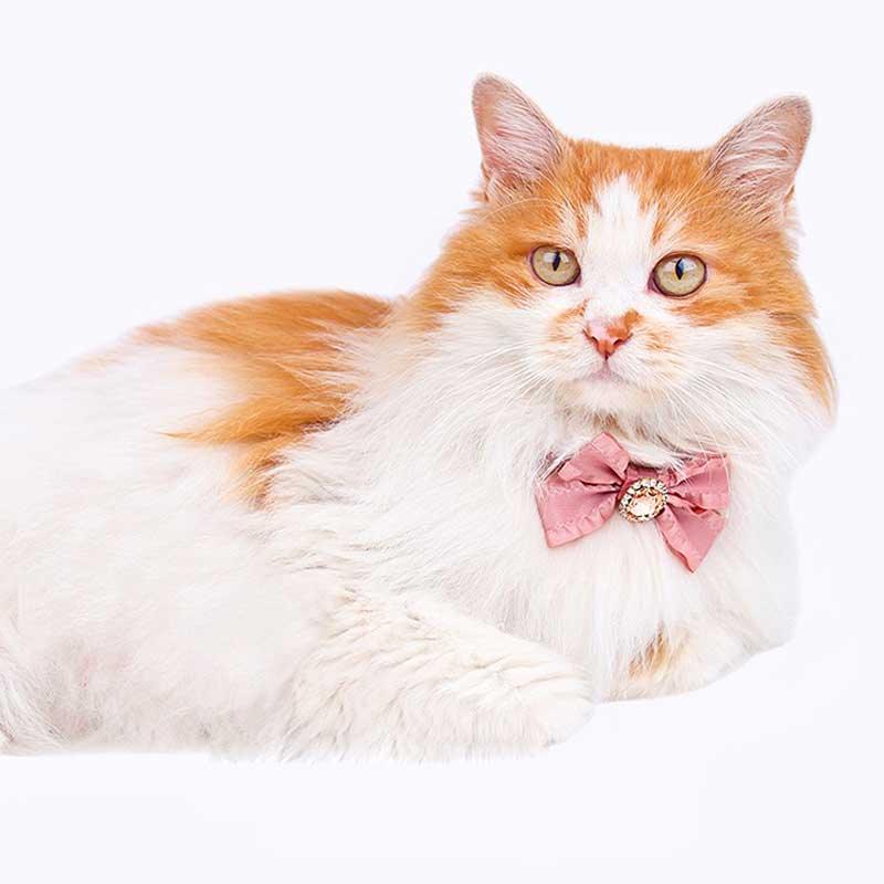 Ruffled Gemstone Bow Cat Collar