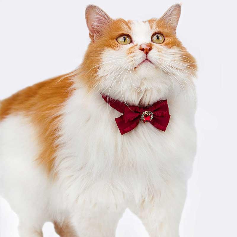 Ruffled Gemstone Bow Cat Collar
