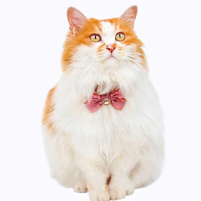 Ruffled Gemstone Bow Cat Collar