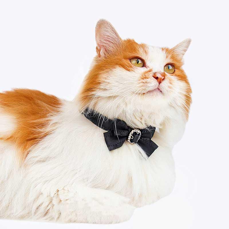 Ruffled Gemstone Bow Cat Collar