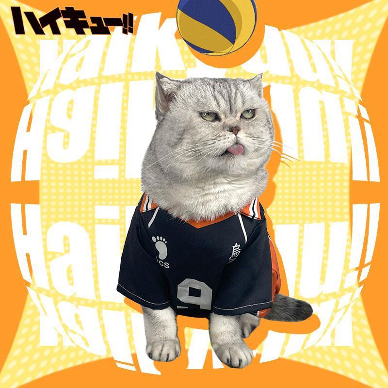Shoyo Hinata Karasuno Cat Cosplay Costume