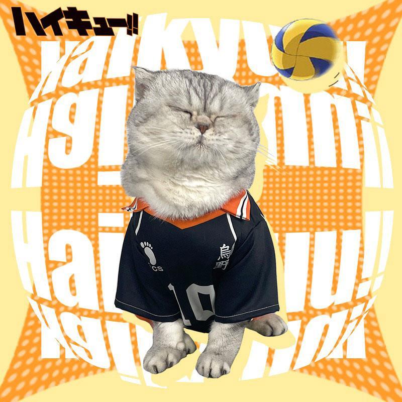 Shoyo Hinata Karasuno Cat Cosplay Costume