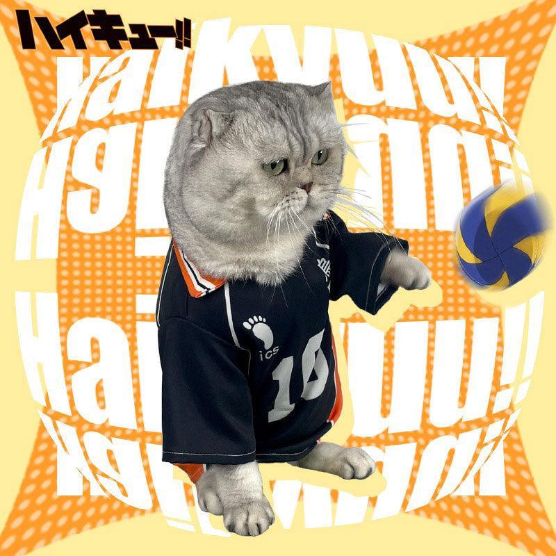 Shoyo Hinata Karasuno Cat Cosplay Costume