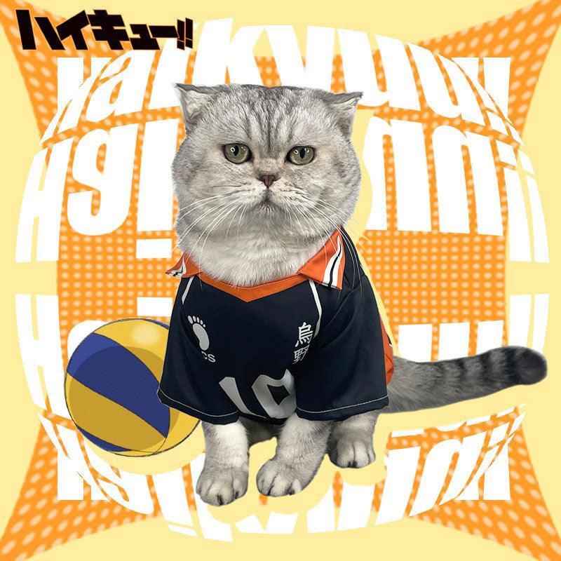 Shoyo Hinata Karasuno Cat Cosplay Costume
