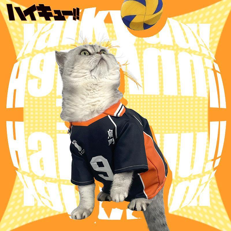 Shoyo Hinata Karasuno Cat Cosplay Costume