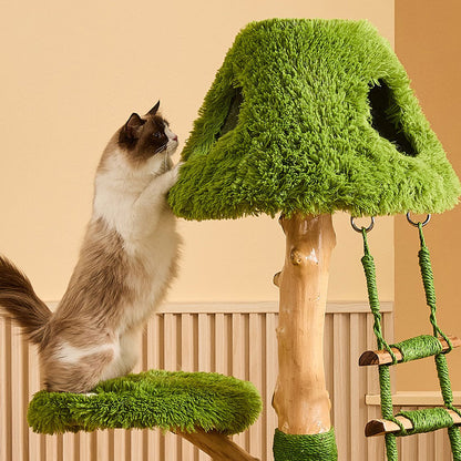 Sky Ladder Cloud Climber Cat Tree