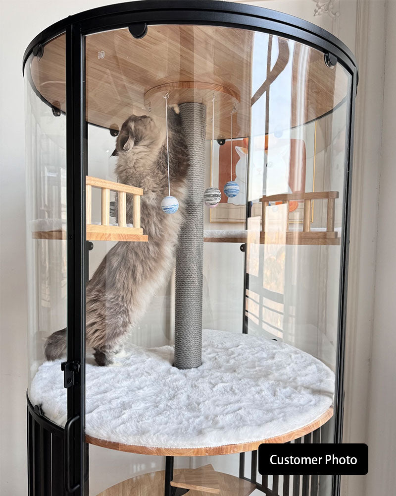 Sky Castle Panoramic Glass Cat Villa