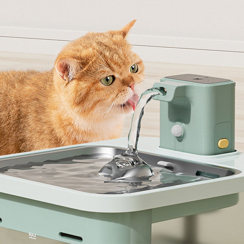 Smart Wireless Cat Water Fountain