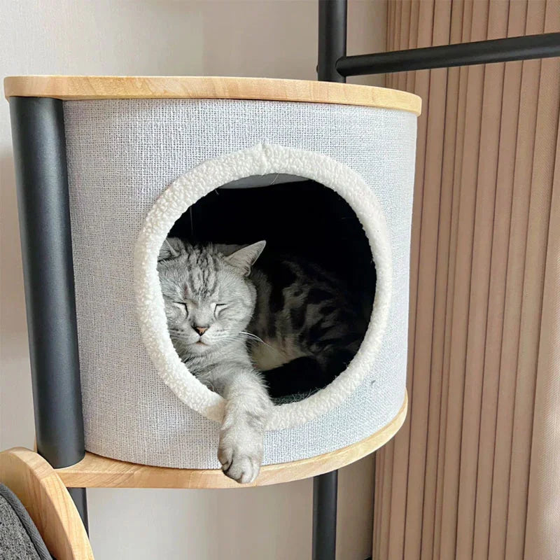 Steel Art Lively Cat Climbing Frame Tree