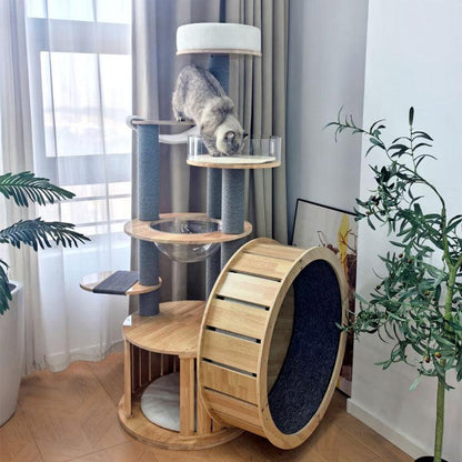Treadmill Cat Climbing Tree Exercise Wheel