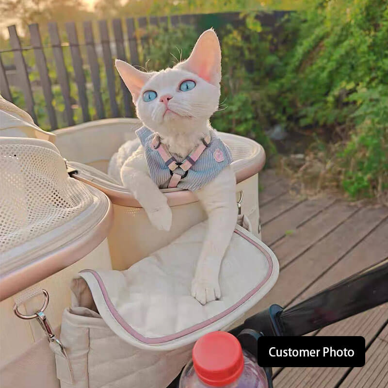 Twin Two-Seater Pet Stroller Cat Wheel Pram