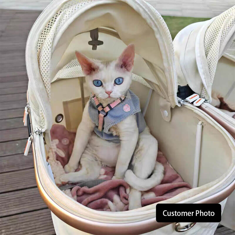 Twin Two-Seater Pet Stroller Cat Wheel Pram