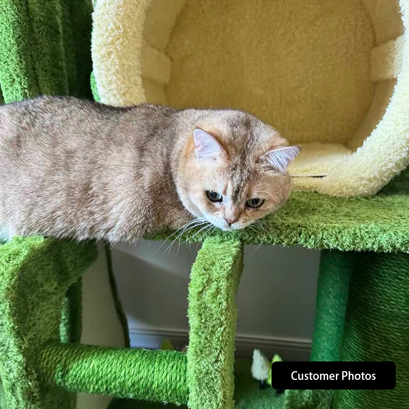 Verdant Wilderness Climbing Cat Tree Tower