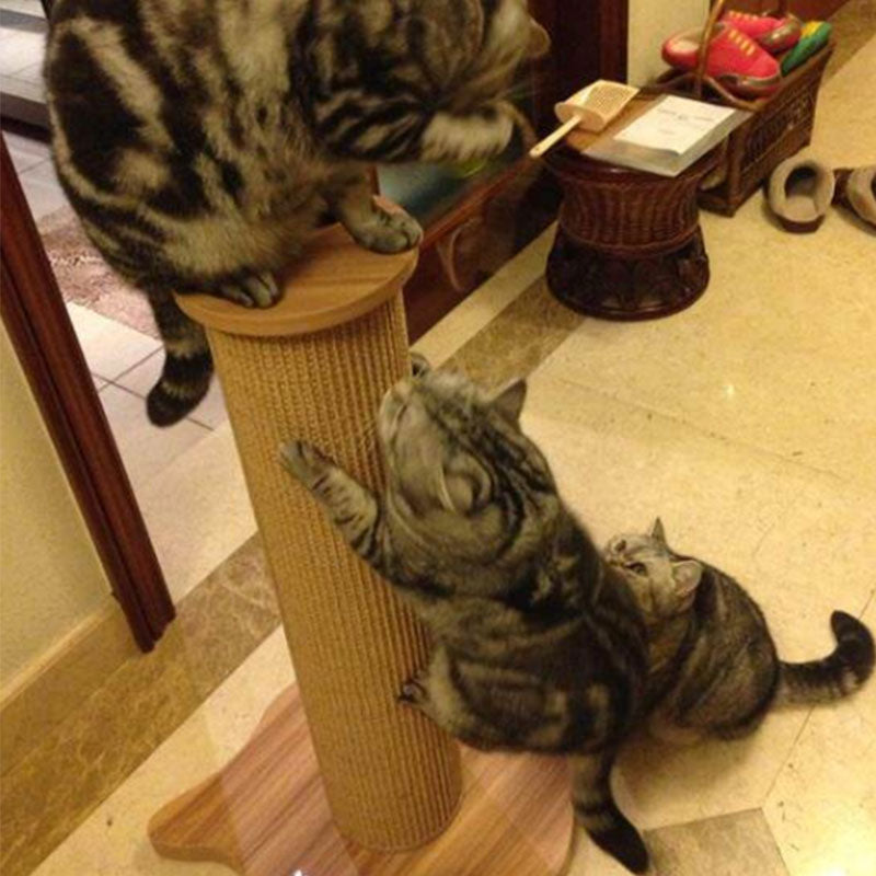 Wall Corner Cat Scratching Post