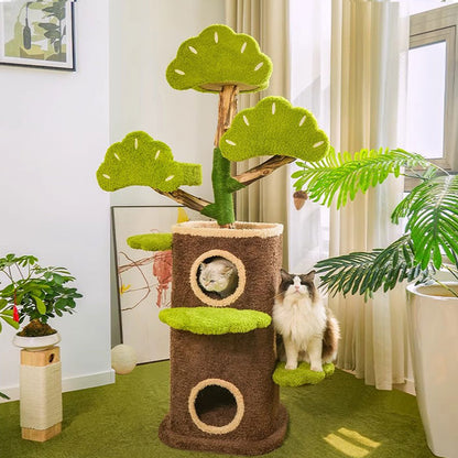 Welcome Cat Climbing Tree House