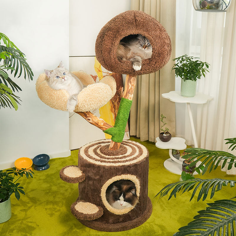 Welcome Cat Climbing Tree House