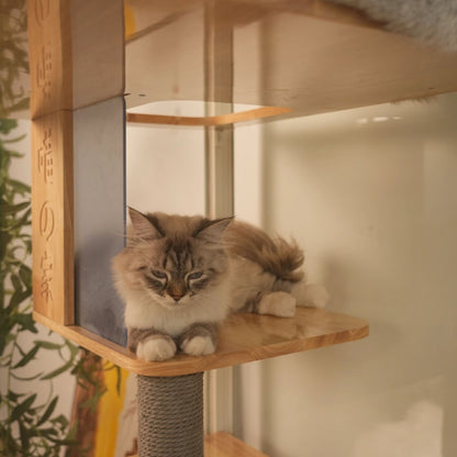 Wonderland Premium Panoramic Cat Villa