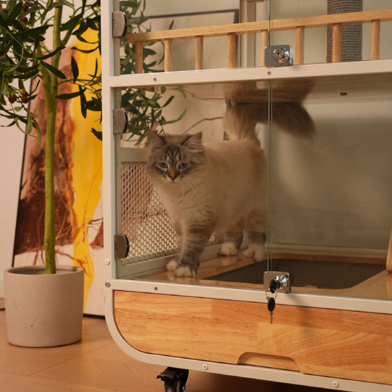 Wonderland Premium Panoramic Cat Villa