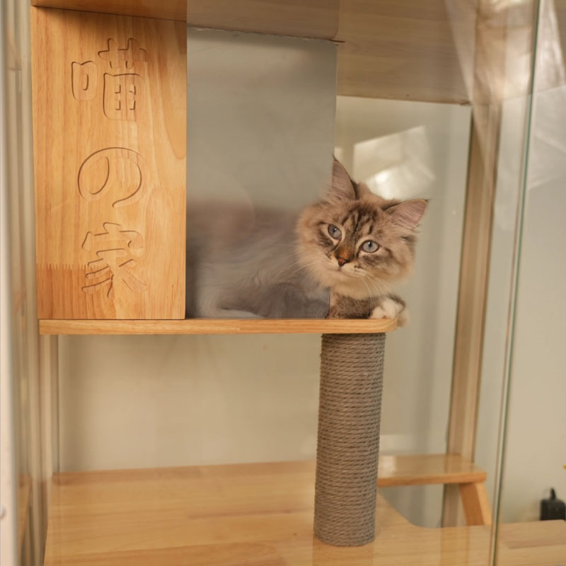 Wonderland Premium Panoramic Cat Villa
