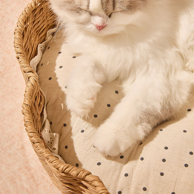 Woven Rattan Shell Semi-Enclosed Cat Bed