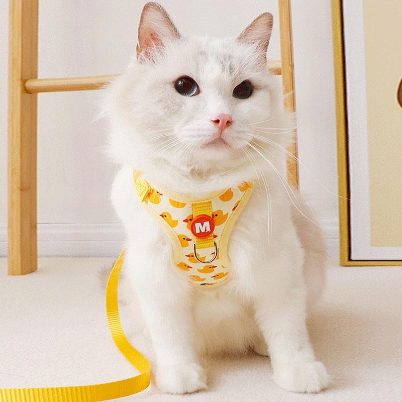 Travel Cat Lead Harness 2 Color Leash Set Escape Proof