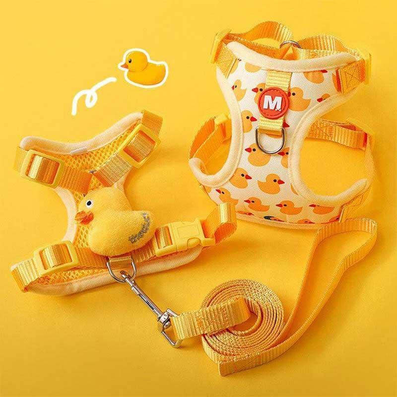 Animal Cat Lead Harness Large Leash Set Escape Proof
