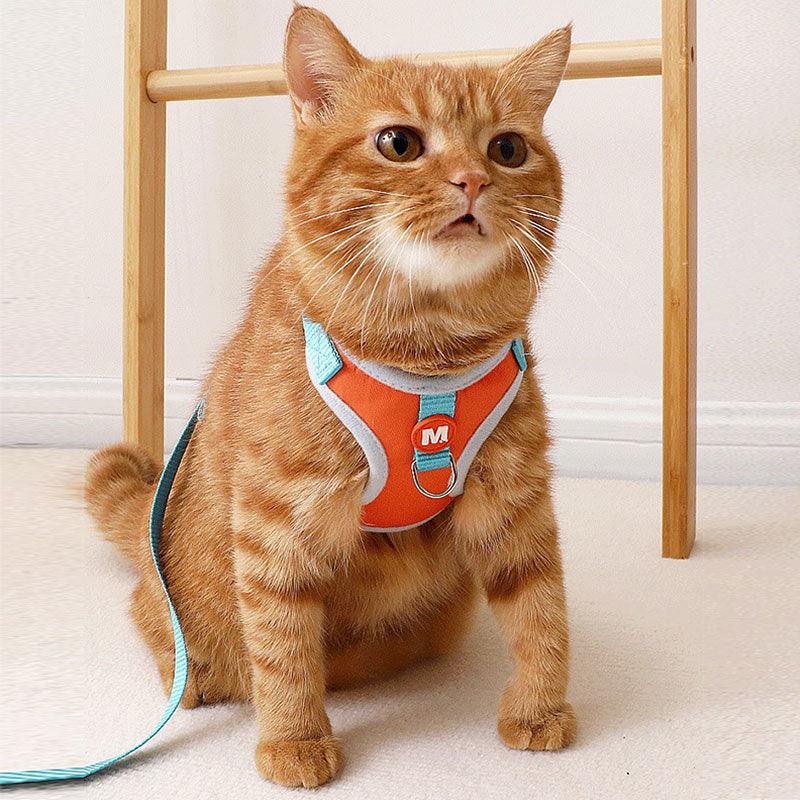 Travel Cat Lead Harness 2 Color Leash Set Escape Proof