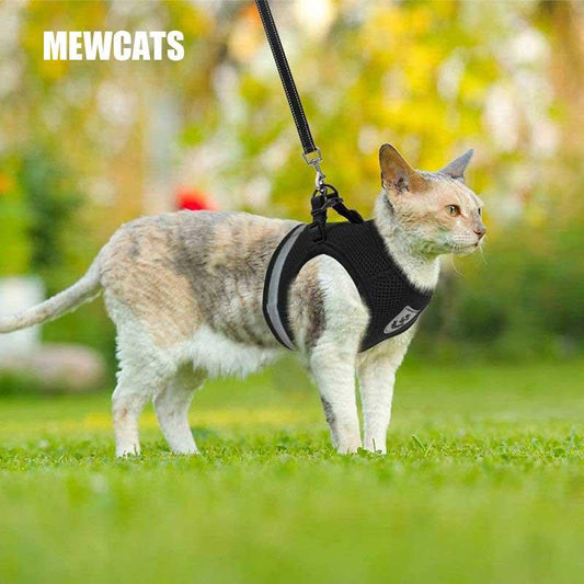 Cat Harness Reflective Breathable Chest Vest 4 Color Pet Leash Set Cat Lead