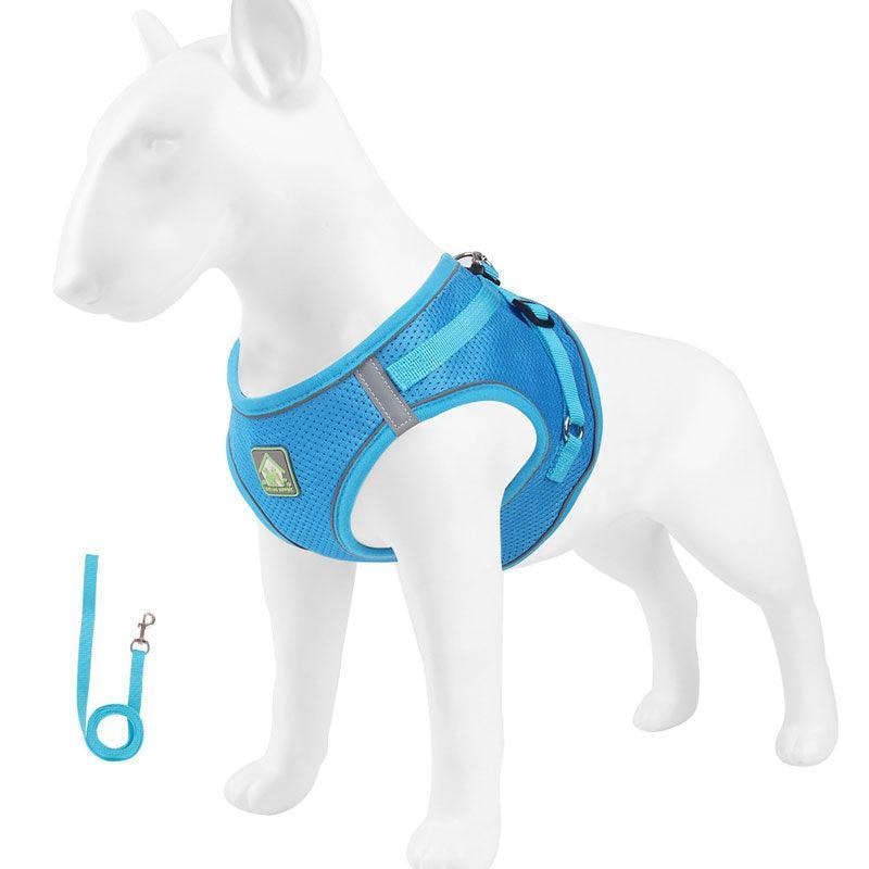 Basic Cat Harness Escape Proof Blue Leash Set Cat Lead
