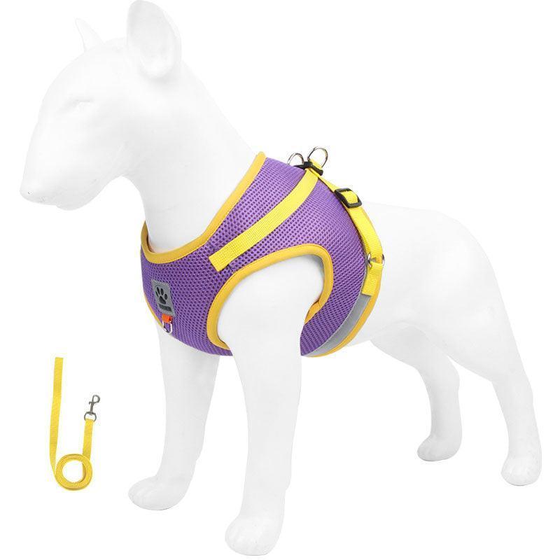 Basic Cat Harness Escape Proof Purple Leash Set Cat Lead