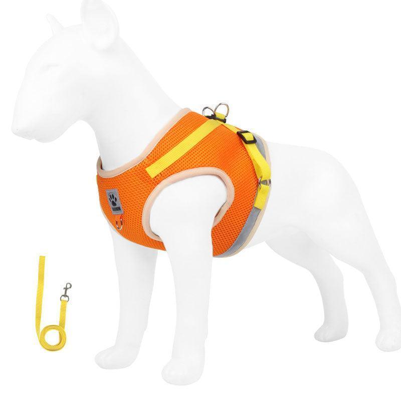 Basic Cat Harness Escape Proof Orange Leash Set Cat Lead