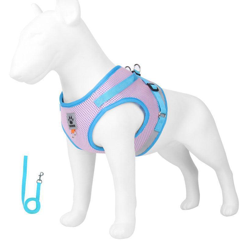 Basic Cat Harness Escape Proof 4 Color Leash Set Cat Lead