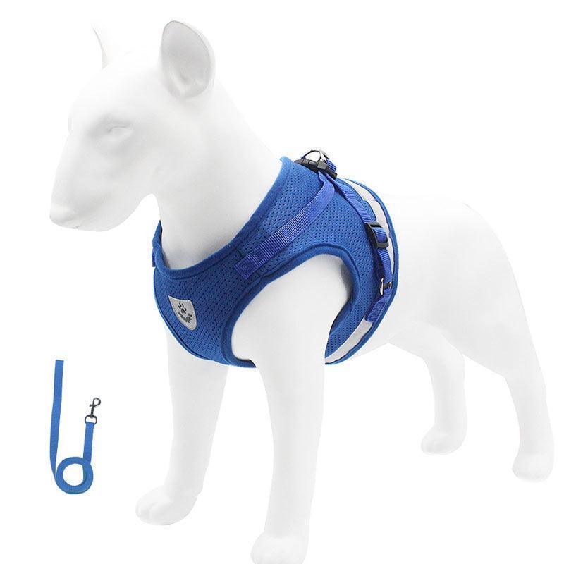 Basic Cat Harness Escape Proof Blue Leash Set Cat Lead